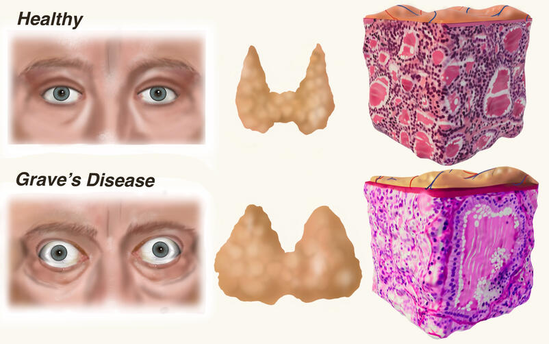 Procreate & Maya, 2023