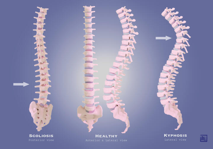 Maya &amp; Photoshop 2022