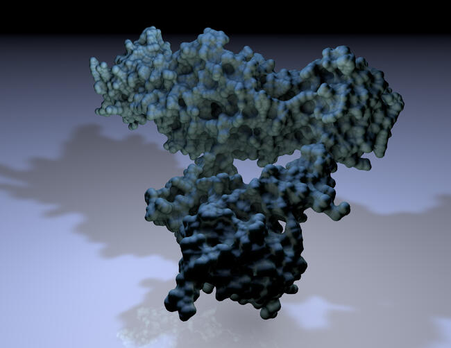 Protein Homology Model, Cinema 4D, 2023