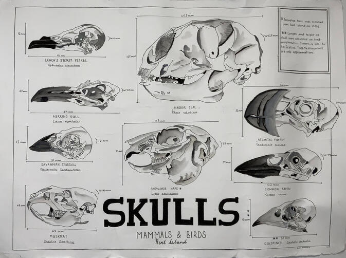Ink on Watercolor Paper